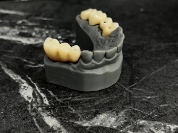 1c5dca8f-40f4-4816-bcf0-4261dab8c354