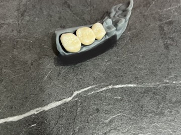 500dc749-3ea2-4f36-8730-6d60f5b53521